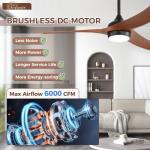 Sofucor 52 Inch Smart Ceiling Fan with Lights