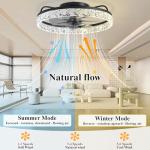 20'' Smart Ceiling Fan with Lights and Remote