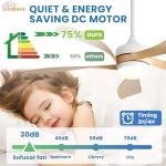 Sofucor 52" Smart Ceiling Fan with Remote