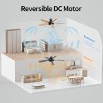 Atolit 52-Inch Smart Ceiling Fan with Lights