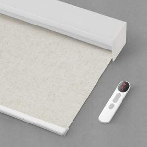 Motorized Blackout Blinds with Remote Control