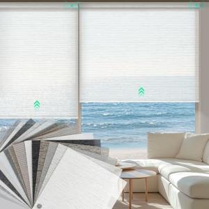 Motorized Light Filtering Blinds with Remote