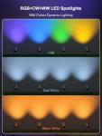 Smart RGBW Landscape Spotlights - 4 Pack