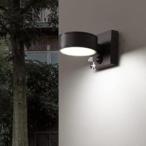 Motion Sensor Outdoor LED Wall Lights