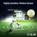 Philips 44W Dual-Head LED Outdoor Security Light