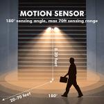 300W Motion-Activated Dual-Head Floodlight for Outdoors