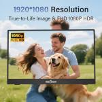 InnoView 15.6-Inch Portable FHD Monitor with Case