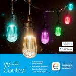 Enbrighten Wi-Fi Smart Vintage Café Lights, 48ft