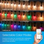 Enbrighten Wi-Fi Smart Vintage Café Lights, 48ft