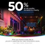 Enbrighten Wi-Fi Smart Vintage Café Lights, 48ft