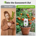 RAINPOINT Wireless Plant Moisture Meter for Indoor Gardening