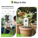 RAINPOINT Wireless Plant Moisture Meter for Indoor Gardening