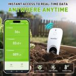 RainPoint 3-in-1 Smart Soil Moisture Sensor