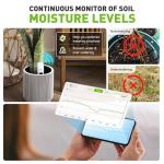 RainPoint 3-in-1 Smart Soil Moisture Sensor