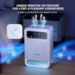 Frizzlife DH80 Quiet Dehumidifier with Purifying Function