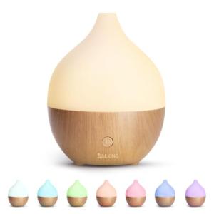 Small 100ml Essential Oil Diffuser with Auto Shut-Off