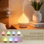 Small 100ml Essential Oil Diffuser with Auto Shut-Off