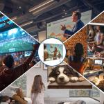 94" Electric Projector Screen with Remote Control