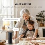 Smart Wi-Fi Outlet with Voice Control and USB-C