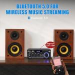 WOOPKER AK45 Pro Bluetooth Home Audio Amplifier
