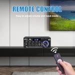 WOOPKER AK45 Pro Bluetooth Home Audio Amplifier