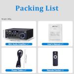 WOOPKER AK45 Pro Bluetooth Home Audio Amplifier