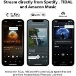 WiiM Mini Wireless Audio Streamer with AirPlay 2