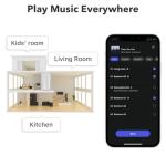 WiiM Mini Wireless Audio Streamer with AirPlay 2