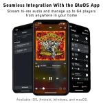 Bluesound Node Hi-Res Wireless Music Streamer