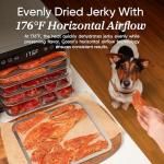 COSORI Food Dehydrator with Stainless Steel Trays