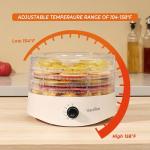 Small Food Dehydrator with 5 BPA-Free Racks