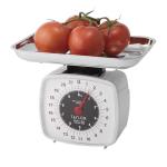 Taylor Mechanical Kitchen Scale, 22 lb Capacity