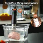 InkSous WIFI Sous Vide Cooker with App and Recipes