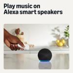 Smart Dimmer Switch with Remote for Alexa