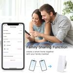 Smart WiFi Water Heater Switch with Voice Control