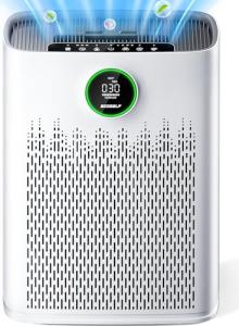 Large Room Air Purifier with HEPA Filter