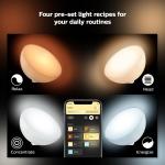 Philips Hue Go Smart Portable Dimmable Lamp
