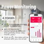 TONGOU Smart Wifi Switch with Power Monitoring