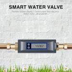 Haozee Smart WiFi Water Valve with Leak Detector