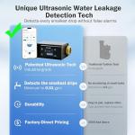 Frizzlife LP365 Smart Water Monitor with Leak Detection