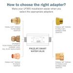 Frizzlife LP365 Smart Water Monitor with Leak Detection