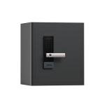 Smart Biometric Fingerprint Home Safe with Voice Prompt