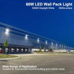 60W LED Wall Pack Light with Photocell