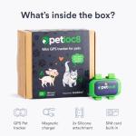 Compact Waterproof Cat GPS Tracker with App