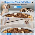 Automatic Cat Feeder with Cameras and Night Vision