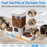 Automatic Cat Feeder with Cameras and Night Vision