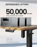 ErGear Electric Height Adjustable Standing Desk 55