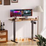 Adjustable Height Electric Standing Desk, 24x48 Inches