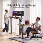 Adjustable Height Electric Standing Desk, 24x48 Inches