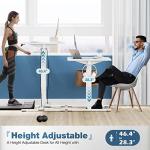 Adjustable Height Electric Standing Desk - 48x24 Inch